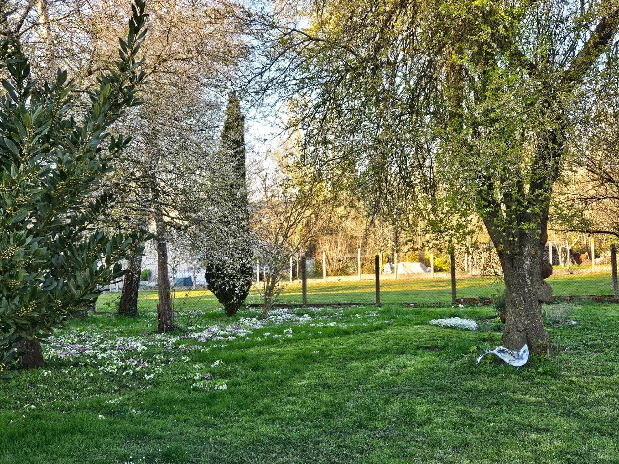 Вилла La Grive D'Arce Merrey-sur-Arce Экстерьер фото